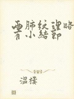 两肺纹理略增多有小结节