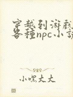 穿越到游戏里和各种npc小说