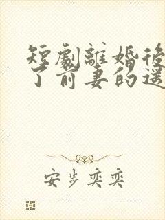 短剧离婚后我成了前妻的遥不可及封面