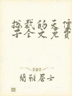 总裁的天价小妻子全文免费阅读