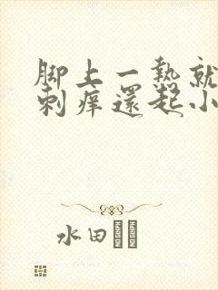 脚上一热就脚上刺痒还起小红疙瘩