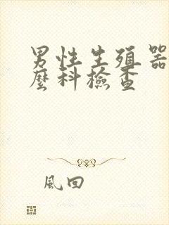 男性生殖器挂什么科检查