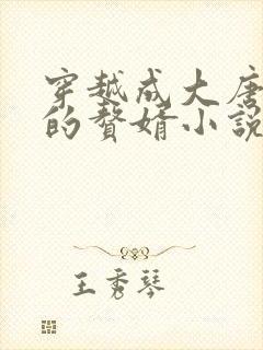 穿越成大唐李靖的赘婿小说封面