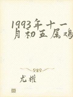 1993年十一月初五属鸡的命运