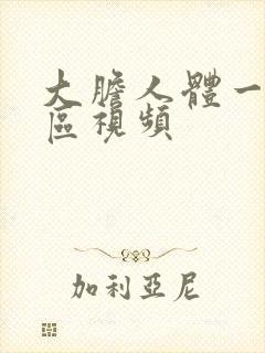 大胆人体一区二区视频