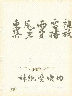 东风雨电视剧全集免费播放在线观看