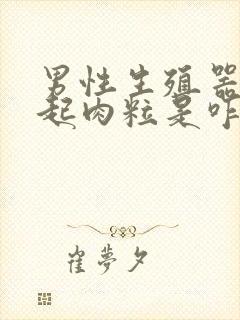 男性生殖器部位起肉粒是咋回事