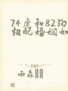 74虎和82狗相配婚姻如何