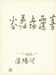 小弟上面有白色分泌物还有异味