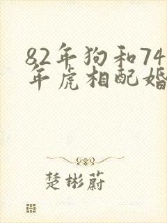 82年狗和74年虎相配婚姻如何