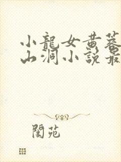 小龙女黄蓉郭靖山洞小说最新章节更