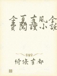 今夏有风全文免费阅读小说