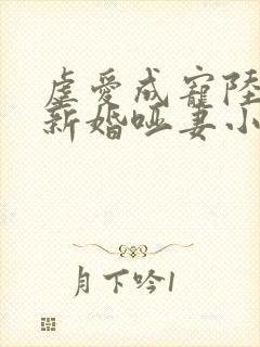 虐爱成宠陆总的新婚哑妻小说封面