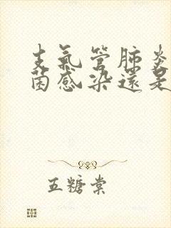 支气管肺炎是细菌感染还是病毒感染