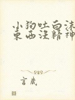 小狗吐白沫不吃东西没精神拉血