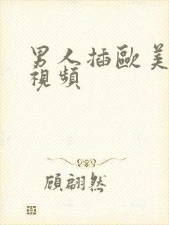 男人插欧美女人视频