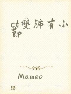 ct双肺有小结节