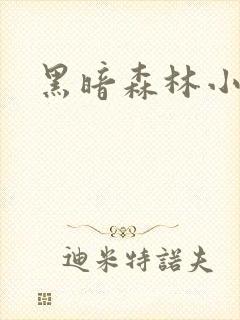 黑暗森林小说