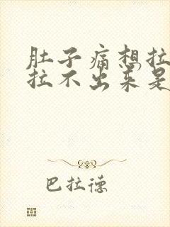 肚子痛想拉屎又拉不出来是什么原因