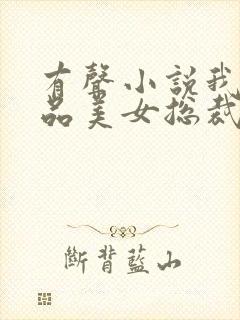 有声小说我的极品美女总裁