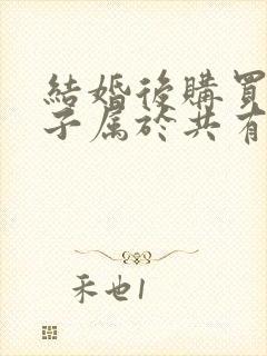 结婚后购买的房子属于共有财产吗