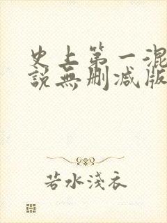 史上第一混乱小说无删减版