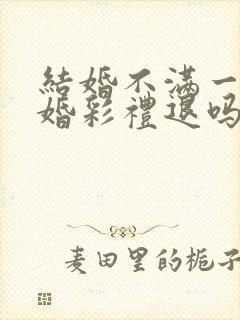 结婚不满一年离婚彩礼退吗