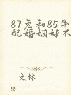 87兔和85牛配婚姻好不好