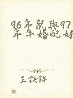 96年鼠与97年牛婚配好不好封面