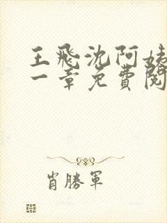 王飞沈阿姨第十一章免费阅读