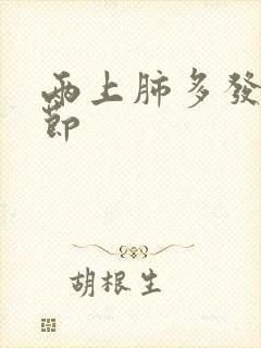 两上肺多发微结节