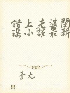 错上老婆闺蜜苏瑶小说最新章节更新