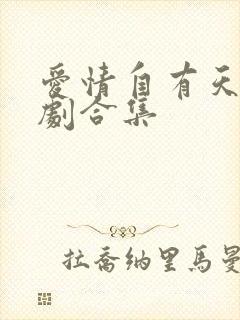 爱情自有天意短剧合集