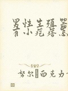 男性生殖器根部有小疙瘩怎么回事