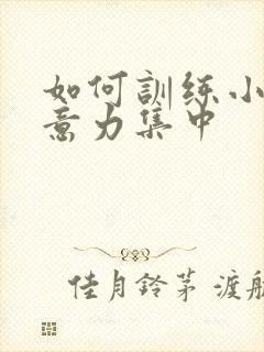 如何训练小孩注意力集中