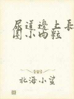 尿道边上长了一圈小肉粒