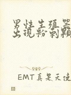 男性生殖器根部出现粉刺颗粒