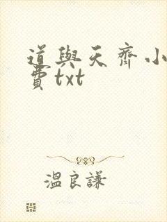 道与天齐小说免费txt