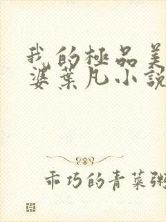 我的极品美女老婆叶凡小说封面