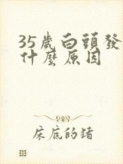 35岁白头发有什么原因