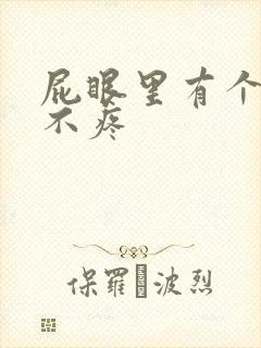 屁眼里有个肉球不疼封面