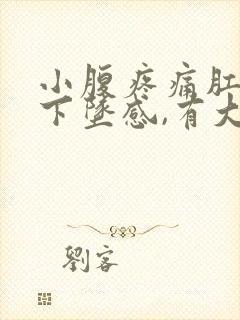 小腹疼痛肛门有下坠感,有大便感