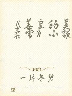 《善良的美人慕柔雪》小说封面