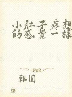 小肚子疼想拉屎的感觉一样怎么回事