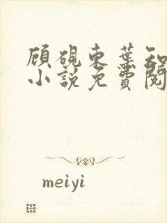 顾砚东叶知安的小说免费阅读全文