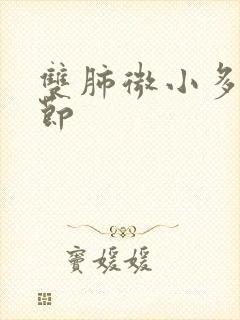 双肺微小多发结节