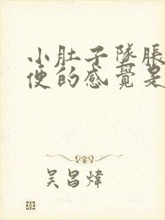 小肚子坠胀想大便的感觉是怎么回事封面