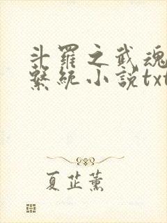 斗罗之武魂进化系统小说txt下载