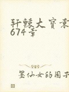 轩辕大宝袁雪妃674章