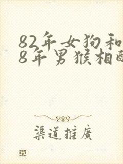 82年女狗和68年男猴相配婚姻如何